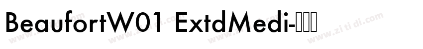 BeaufortW01 ExtdMedi字体转换